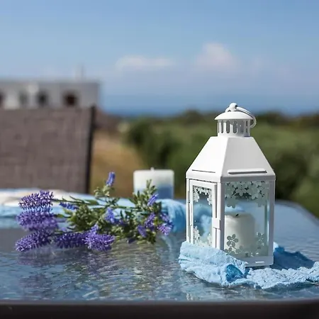 Thalia's House Holiday home Pastida